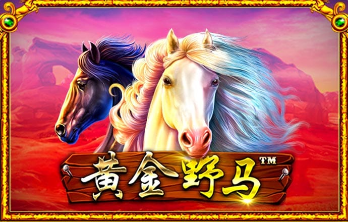 澳发彩票8icc官网APP下载